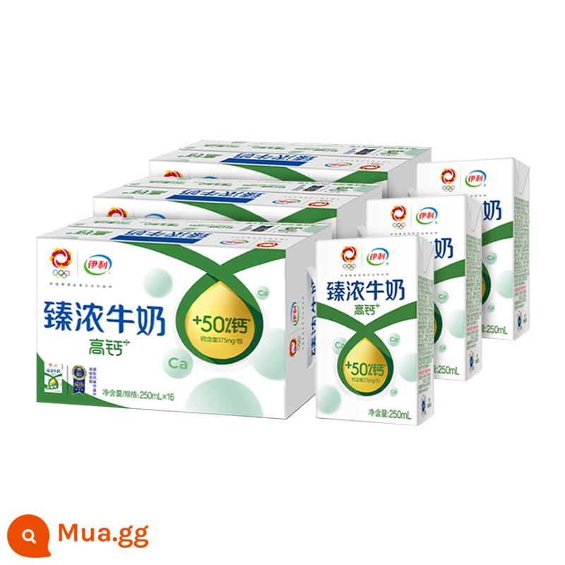 Cửa hàng hàng đầu Yili sữa nguyên chất 250ml * 16 hộp * 2 hộp bữa sáng gia đình sinh viên đầy đủ chất béo - Sữa Canxi Cao Cấp Yili Zhencong 16 hộp*3 hộp