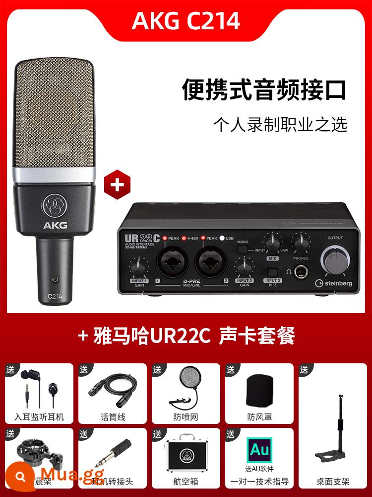 Micro điện dung AKG C214 chuyên nghiệp lớn màng thu âm trực tiếp K bài hát micro ghi âm thanh nhạc cụ ghi âm - Bộ C214 + UR22C