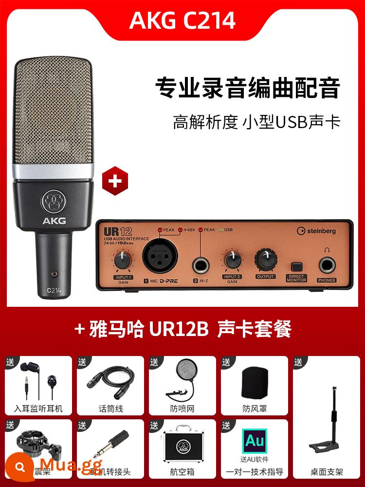 Micro điện dung AKG C214 chuyên nghiệp lớn màng thu âm trực tiếp K bài hát micro ghi âm thanh nhạc cụ ghi âm - Bộ C214 + UR12B