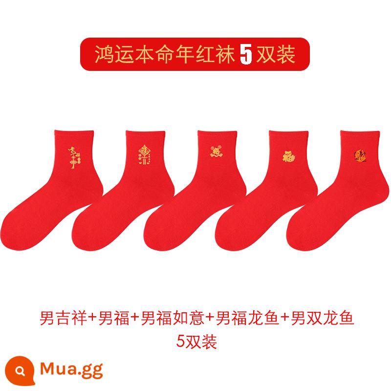 Hongyun SOCKS được định sẵn là năm của những con thỏ, vớ màu đỏ trung bình, chiếc vớ kết hôn bằng vải cotton mềm bằng ống nhỏ - [Tất Nam] Cát tường + Phù + Như Ý + Phù Rồng đỏ + Cá rồng đôi (5 đôi giá 2680)