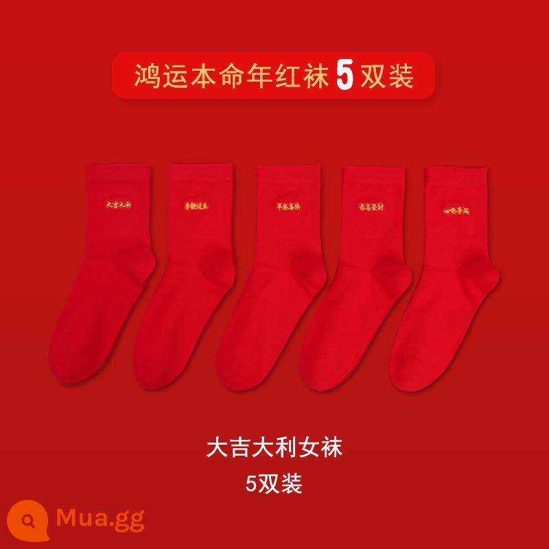 Hongyun SOCKS được định sẵn là năm của những con thỏ, vớ màu đỏ trung bình, chiếc vớ kết hôn bằng vải cotton mềm bằng ống nhỏ - [Tất Nữ] Chúc May Mắn (Gói 5 Đôi 5622)