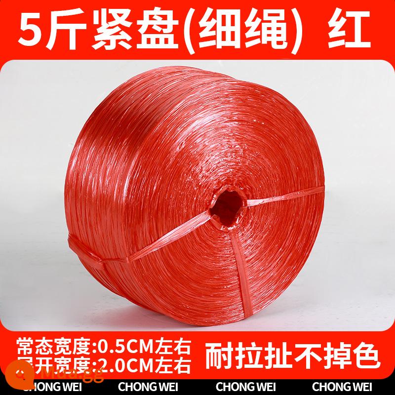 Dây nylon đóng gói dây nhựa dây ràng buộc dây ràng buộc chịu mài mòn bọc túi dây vật liệu mới toàn bộ gói dây ràng buộc - [Đỏ 2cm] Đĩa 5 cân