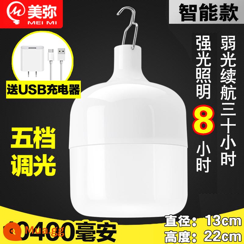 Đèn LED Sạc Bóng Đèn Chợ Đêm Gian Hàng Đèn Đường Siêu Sáng Tiết Kiệm Năng Lượng Hộ Gia Đình Chiếu Sáng Khẩn Cấp Đèn Cắm Trại Ngoài Trời - [10400 mAh] 1000W+ đi kèm bộ sạc USB - thời lượng pin 30 giờ - năm mức độ mờ