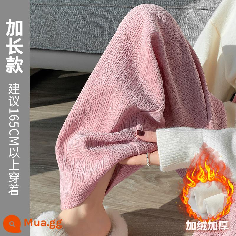 Kaki lúa mì tai chenille quần ống rộng nữ mùa thu đông cao cấp xếp nếp lau sàn thường ngày cộng nhung dày quần ống đứng - Màu hồng sang trọng [chiều dài mở rộng]