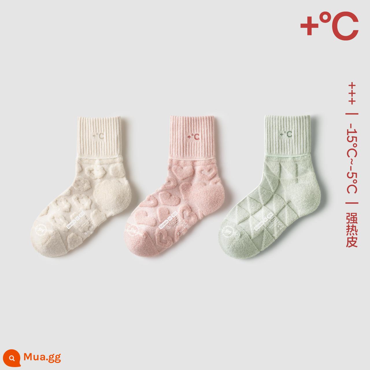 Bộ 5 vớ nhiệt da chuối bộ 5 vớ cotton dày giữ ấm cho nữ thấm hút mồ hôi khử mùi vớ ống giữa mùa thu đông 3 đôi - [Nữ dày] Trắng nhạt + bột củ sen + xanh bọt biển