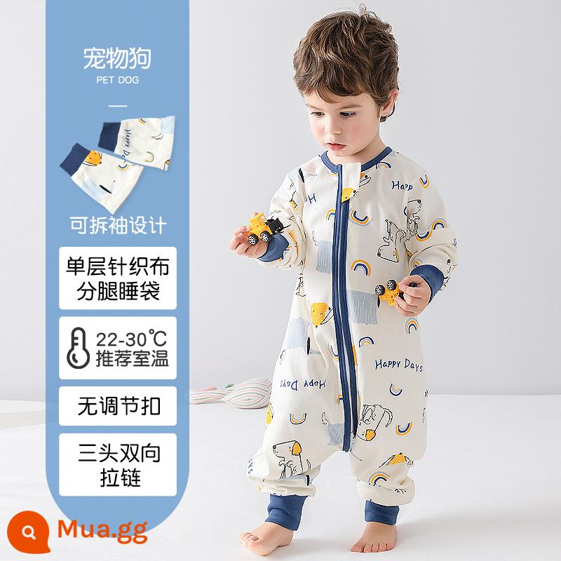 Túi ngủ cho bé xuân thu hai lớp cotton nguyên chất Túi ngủ xẻ chân cho bé Mùa thu đông phòng máy lạnh chăn bông chống đá đa năng - Chó Xanh Mùa Hè Một Lớp