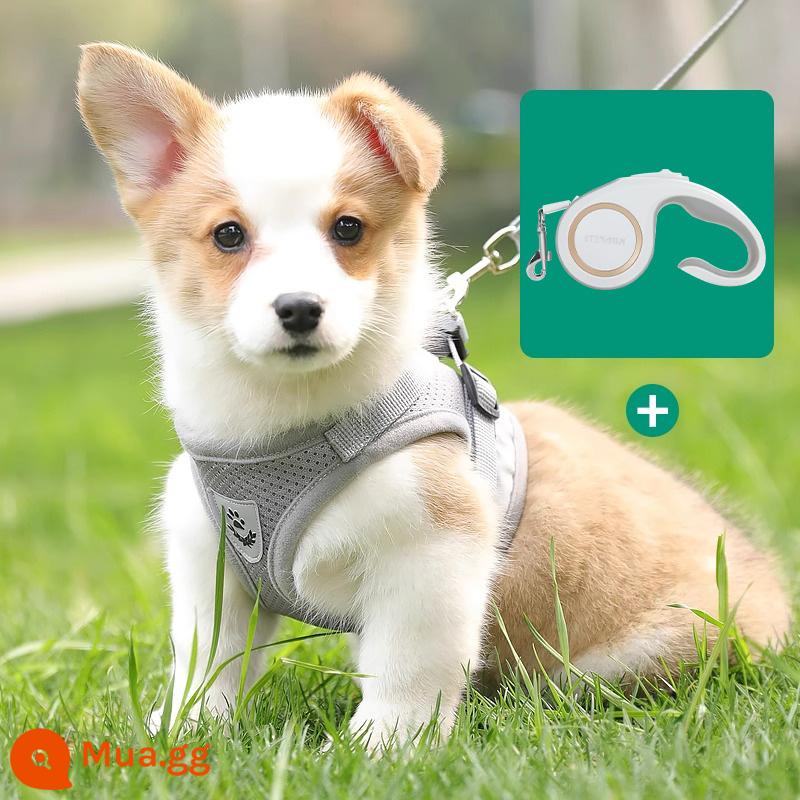 Áo vest loại dây xích chó nhỏ ngực chó túi đựng bé Teddy Corgi chó con chó con dây xích chó đi dạo dây ngực tàu sân bay - Dây kéo ống lồng tự động màu xám +3m