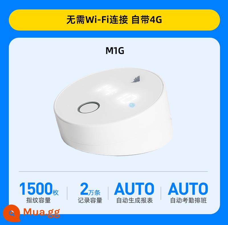 【Máy chấm công 4G】Máy chấm công thông minh DingTalk - Đồng hồ vân tay nối mạng tự động M1G 4G