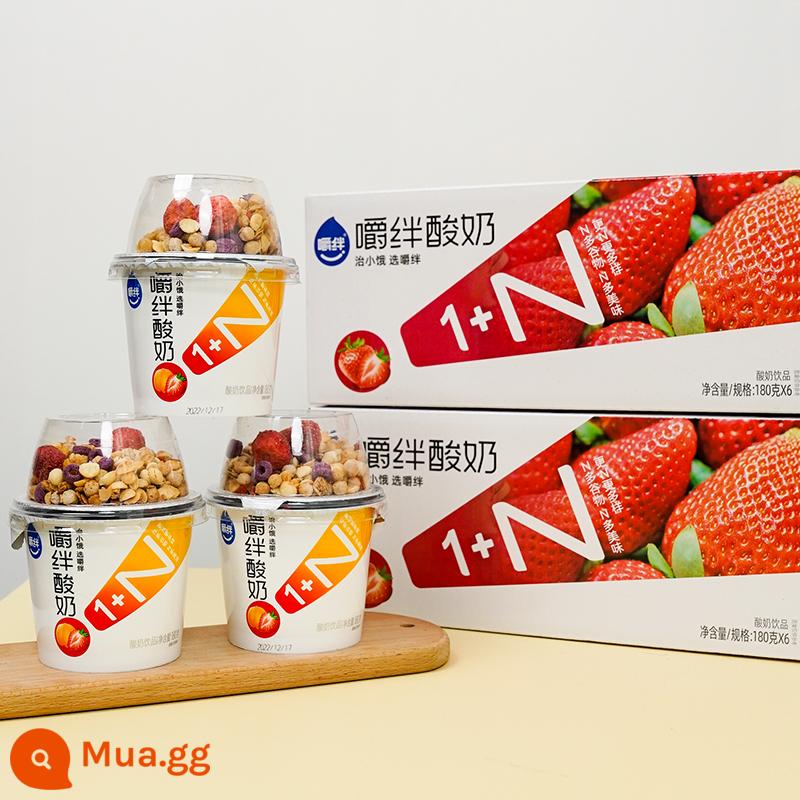 Nhai sữa chua Mô hình nổ rung động dụng ăn sữa chua bột yogurt Bữa ăn lớn thay thế phụ nữ mang thai hộp đầy đủ hộp sữa chua - [210g*12 cốc]Dâu tây 12★Giảm giá trong thời gian có hạn