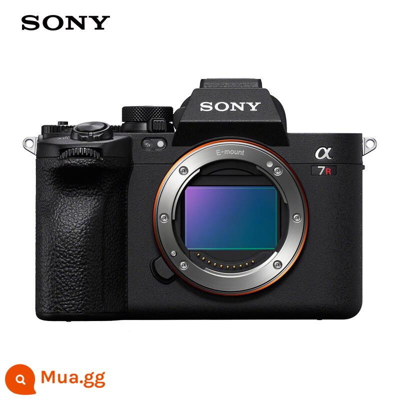 Sony/Sony Alpha 7R V A7RM5 máy ảnh một mắt siêu nhỏ thế hệ mới full-frame máy ảnh hàng đầu chất lượng hình ảnh kép - đen