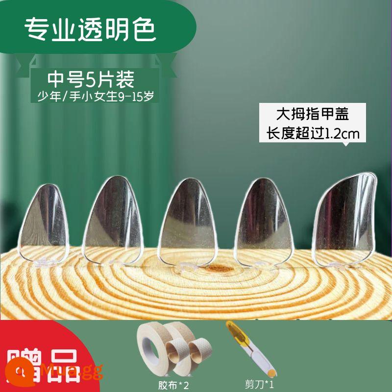 Người lớn và trẻ em trình độ đầu vào pipa nail kỳ thi chứng chỉ chuyên nghiệp chơi áo giáp celluloid trong suốt màu đồi mồi người mới bắt đầu kích thước trung bình - 2 cặp keo trong suốt chuyên nghiệp cỡ vừa + 2 cuộn băng dính + kéo