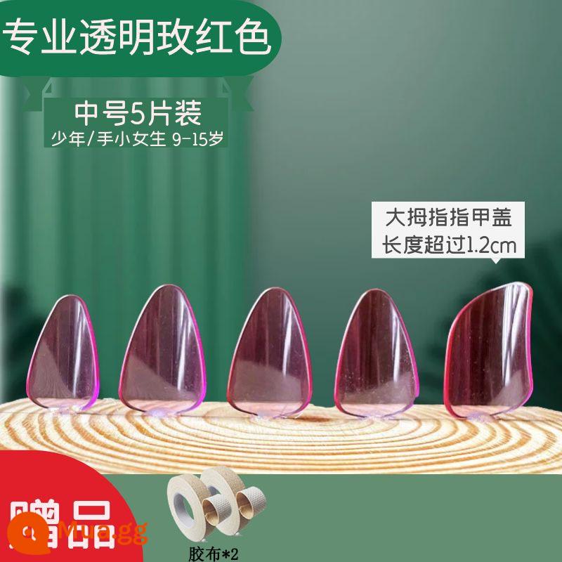 Người lớn và trẻ em trình độ đầu vào pipa nail kỳ thi chứng chỉ chuyên nghiệp chơi áo giáp celluloid trong suốt màu đồi mồi người mới bắt đầu kích thước trung bình - Hoa hồng đỏ chuyên nghiệp cỡ vừa + băng keo 2 cuộn