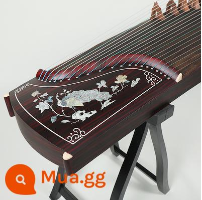 Gỗ nguyên khối 163 guzheng cửa hàng đàn piano khuyến nghị người mới bắt đầu kiểm tra đầu vào giảng dạy cấp độ mười chuyên nghiệp chơi đàn tam thập lục cho trẻ em người lớn - Chim công leo núi (trọn bộ + ghế đẩu)