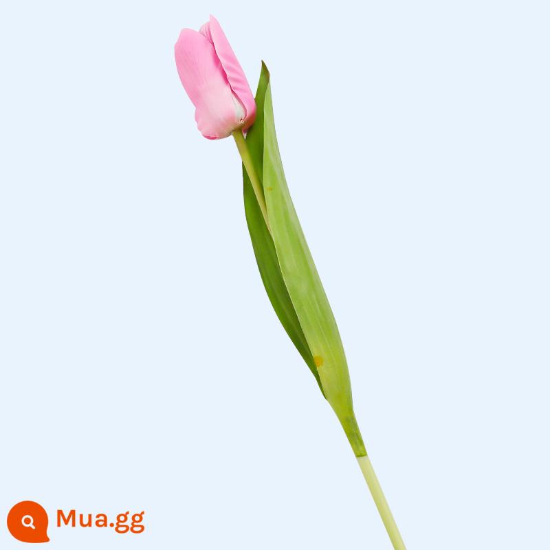 38 Ngày Phụ Nữ Tulip Mô Phỏng Hoa Hoa Hồng Trang Trí Bánh Cắm Ruy Băng Lưới Xung Quanh Lễ Hội Nữ Thần Ngày 8 Tháng 3 - 2 bột đào dưỡng ẩm mô phỏng hoa tulip siêu thực