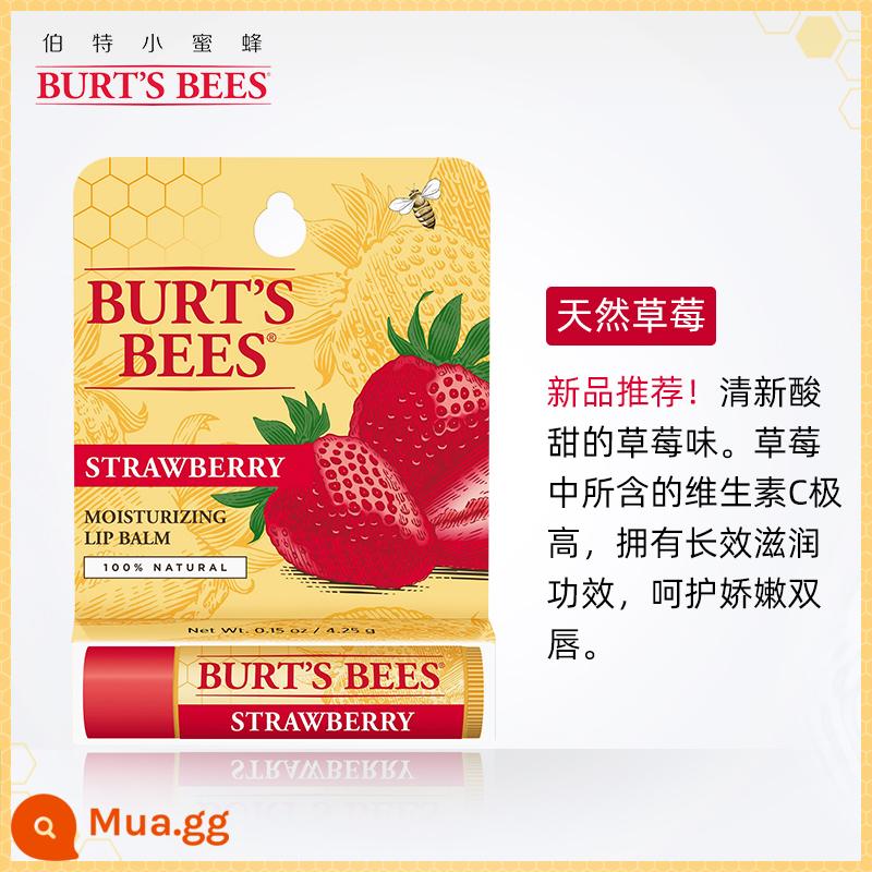 Hoa Kỳ Burt's Little Bee Ace Son Dưỡng Môi Dưỡng Ẩm Dưỡng Ẩm Son Môi Không Màu Lót Chống Nứt Nứt Nam Nữ Có Sẵn - [Dưỡng ẩm] Dâu tây chua ngọt 4.25g