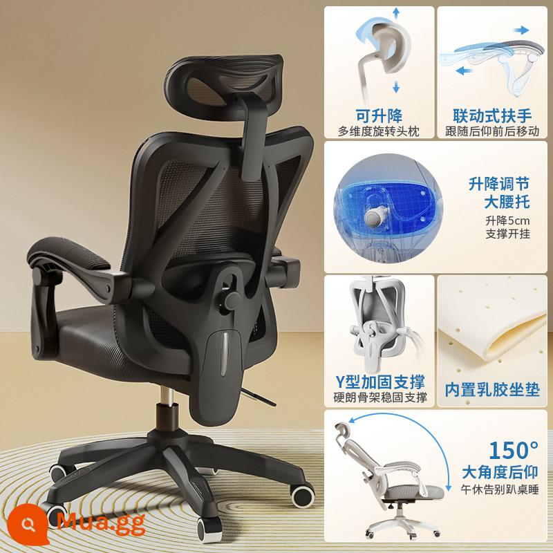 Ghế Ergonomic Ghế Máy Tính Văn Phòng Tại Nhà Ghế Thoải Mái Ít Vận Động Sinh Viên Thể Thao Điện Tử Ghế Phòng Ngủ Ghế Ngả Ghế - Mẫu nâng cấp [khung đen và lưới đen] hỗ trợ thắt lưng có thể điều chỉnh/ngả/không có chỗ để chân/cao su tích hợp