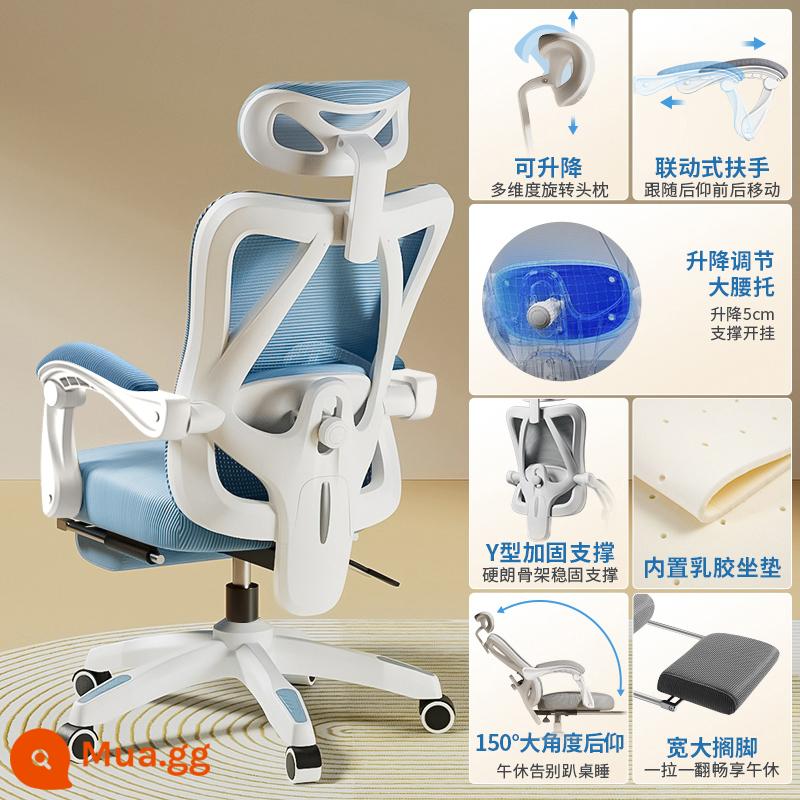 Ghế Ergonomic Ghế Máy Tính Văn Phòng Tại Nhà Ghế Thoải Mái Ít Vận Động Sinh Viên Thể Thao Điện Tử Ghế Phòng Ngủ Ghế Ngả Ghế - Mẫu nâng cấp [khung trắng lưới xanh] hỗ trợ thắt lưng có thể điều chỉnh/ngả lưng/có chỗ để chân/cao su tích hợp