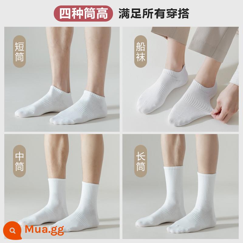 Vớ cotton nam Mid -Autumn Mid -Mid -Worn Sports Sports Long Long Winter Men's Peated Color - ---Dùng thử miễn phí/4 chiều cao/hậu mãi không lo lắng——