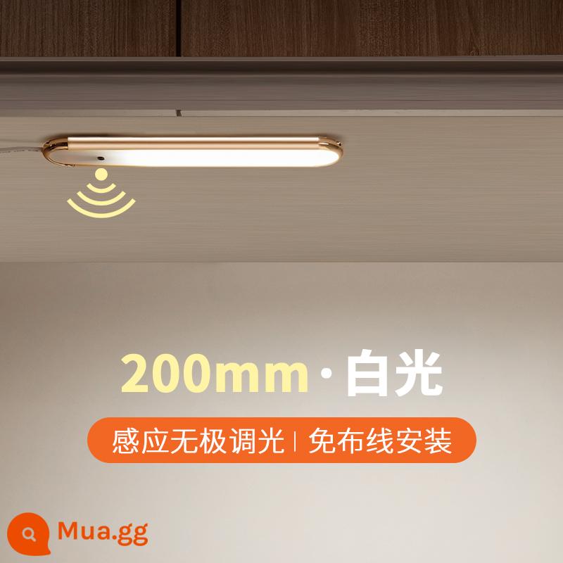 Đèn LED cảm ứng quét tay người thông minh tổng thể đèn tủ có pin sạc loại tủ sách ký túc xá ?Miễn phí lắp đặt gầm xe - Ánh sáng trắng 20 cm [plug-in + quét tay + mờ]