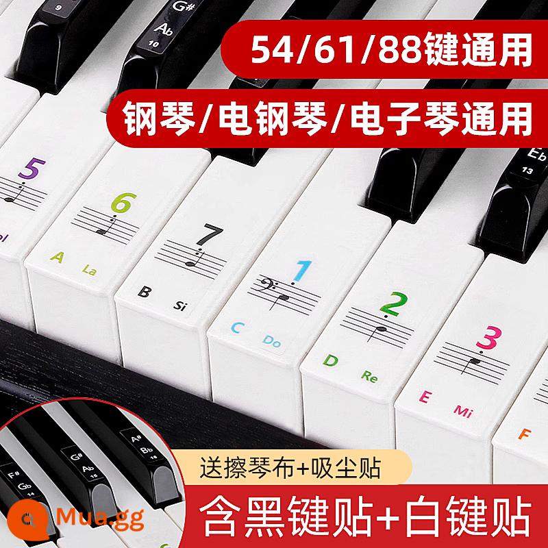 Miếng dán bàn phím đàn piano bàn phím điện tử Bàn phím điện tử phím dán bàn phím dải 88 miếng dán giai điệu phím ký hiệu năm dòng ký hiệu đơn giản ghi chú - [Loại dính] Miếng dán đàn piano tĩnh điện nhiều màu sắc (phổ biến cho đàn piano điện tử và bàn phím điện tử)