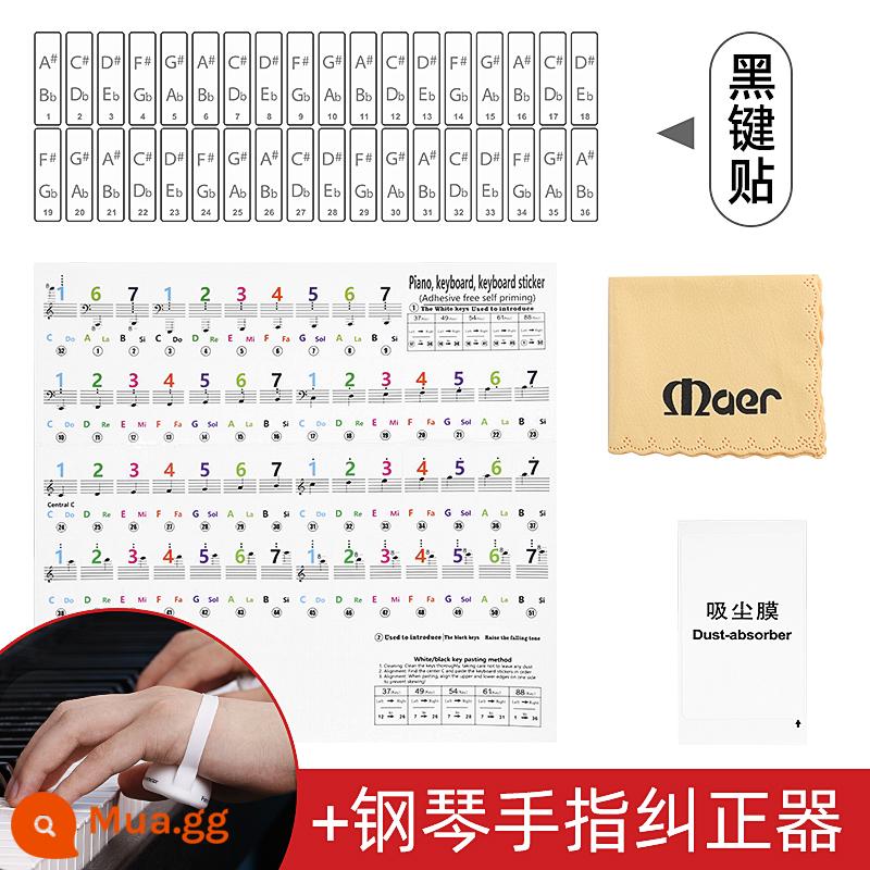 Nano Bàn Phím Piano Miếng Dán 88/61/54 Phím Trẻ Em Người Lớn Bàn Phím Điện Tử Đa Năng Không Keo Dán Nhân Viên Note Miếng Dán - Miếng dán tĩnh điện đầy màu sắc đi kèm miếng dán phím đen + bộ chỉnh tay đàn piano