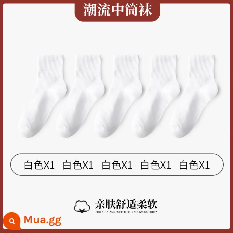 Tất trắng đến giữa bắp chân nam Tất trắng dài thể thao cotton cotton nguyên chất chống mùi hôi thấm mồ hôi Tất đen màu trơn mùa xuân hè - Gói 5 đôi [1562 Tất dài đến bắp chân Four Seasons] 5 màu trắng.