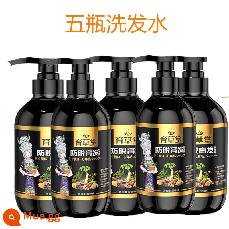 [Xác nhận của Zhu Haimei] Dầu gội chống rụng tóc Yucaotang, Polygonum Multiflorum Hair Growth chính thức Cửa hàng hàng đầu đích thực - [Tăng cường độ ổn định] 5 chai dầu gội