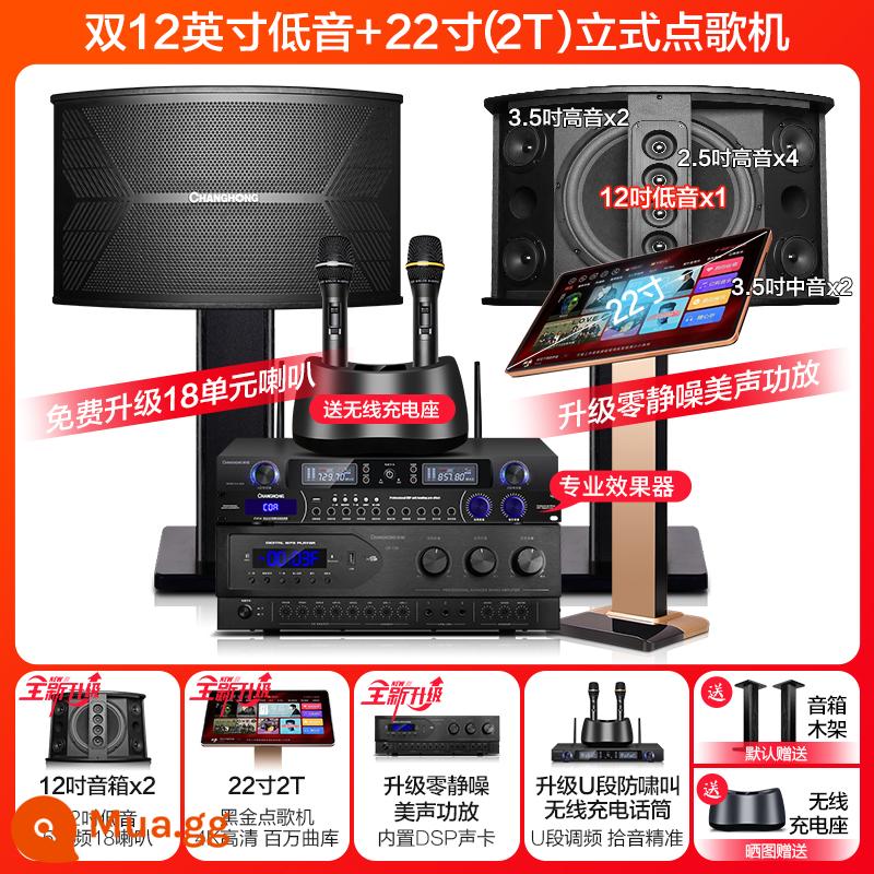 Changhong K9 nhà KTV âm thanh bộ hoàn chỉnh phòng khách nhà hát máy karaoke k bài hát karaoke okAll - Dual 12 inch 5 chiều 18 loa + máy karaoke 22 inch 2T + micro karaoke sạc