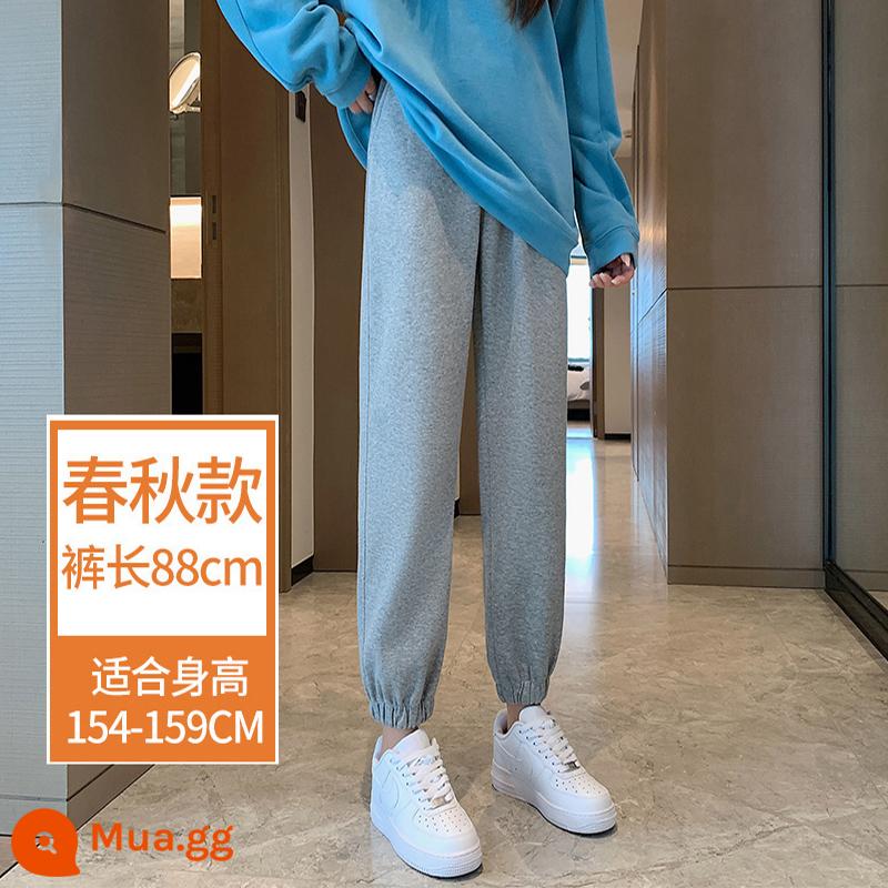 Quần cotton dày thể thao nữ mùa xuân 2023 phong cách nước ngoài mới, quần harem chín điểm dáng rộng, eo cao thường ngày cộng với quần nhung bludông thủy triều - Quần xám nhạt dài 88cm