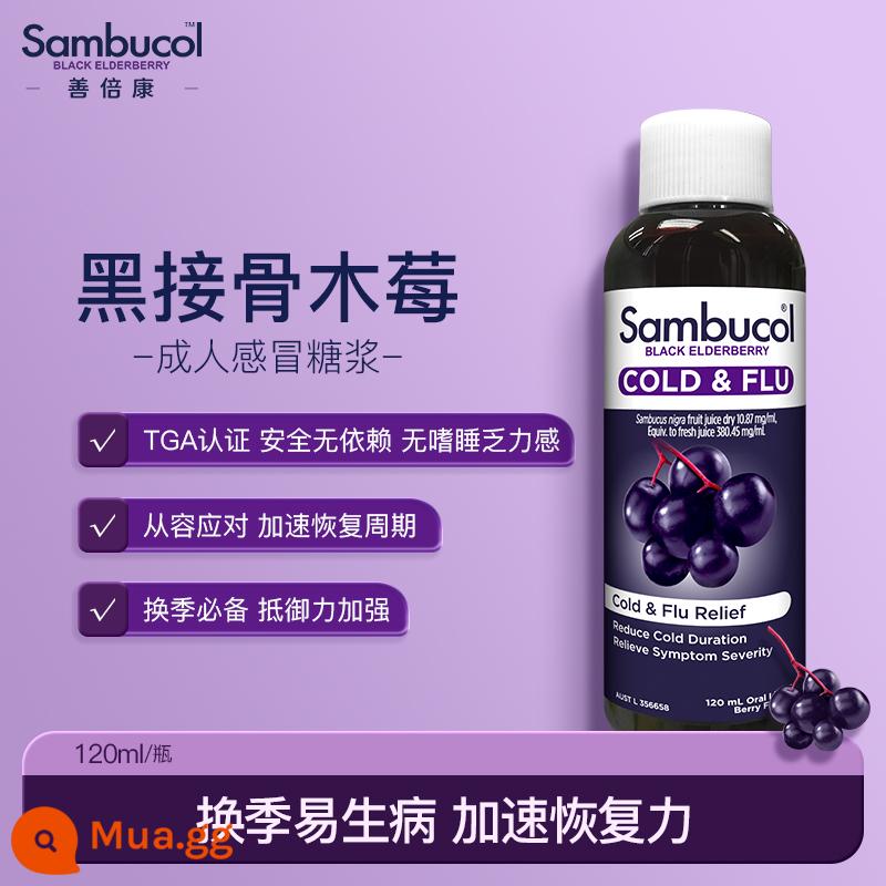 Của Úc Sambucol Shanbeikang quả cơm cháy đen nhỏ VC vitamin C kẽm bổ sung xi-rô miễn dịch - [Người lớn] Recovery Syrup 120ml (tăng cường sức đề kháng và tăng tốc phục hồi)