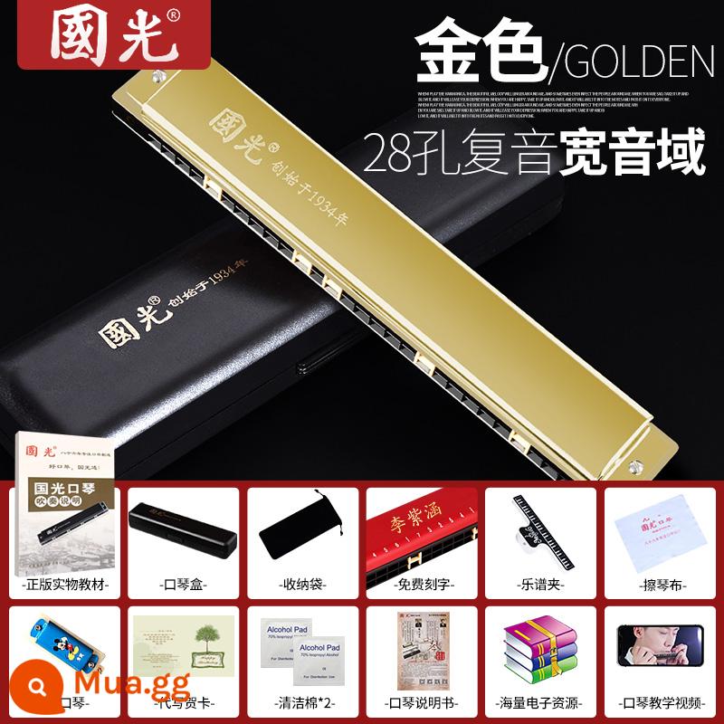 Guoguang harmonica 24 lỗ 28 lỗ đa âm C phiên bản kỷ niệm dành cho người mới bắt đầu, trẻ em, học sinh mới bắt đầu luyện tập biểu diễn chuyên nghiệp - [Mẫu nâng cao] Phím C đa âm 28 lỗ - vàng + thưởng điểm nhạc + video hướng dẫn