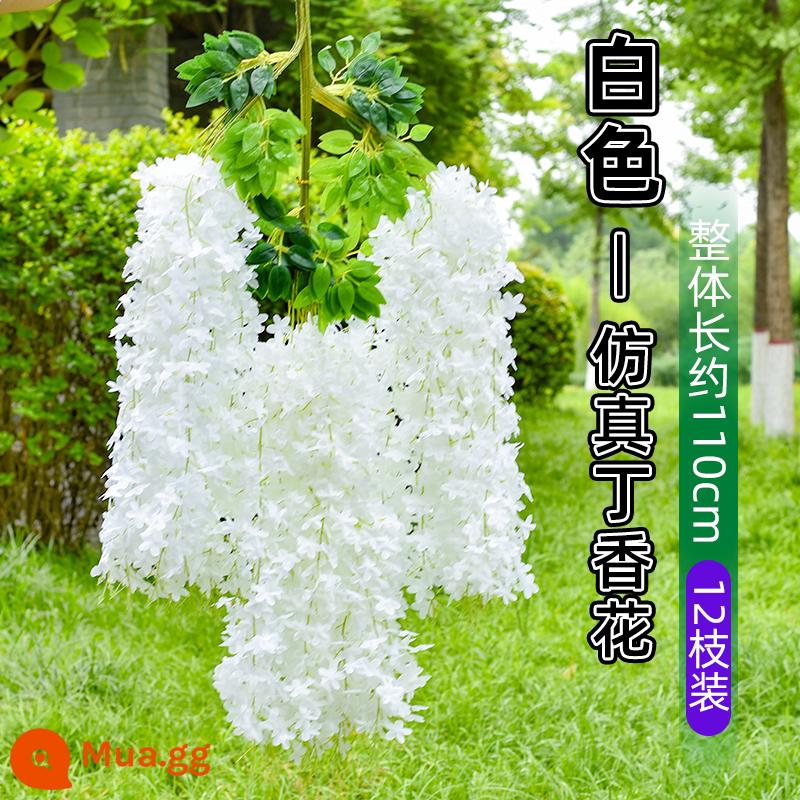 Mô phỏng Wisteria hoa hoa giả tím treo trần hoa cây nho trong nhà trang trí đám cưới mây nhựa dải hoa cây nho - Wisteria trắng mã hóa mới (6 miếng)