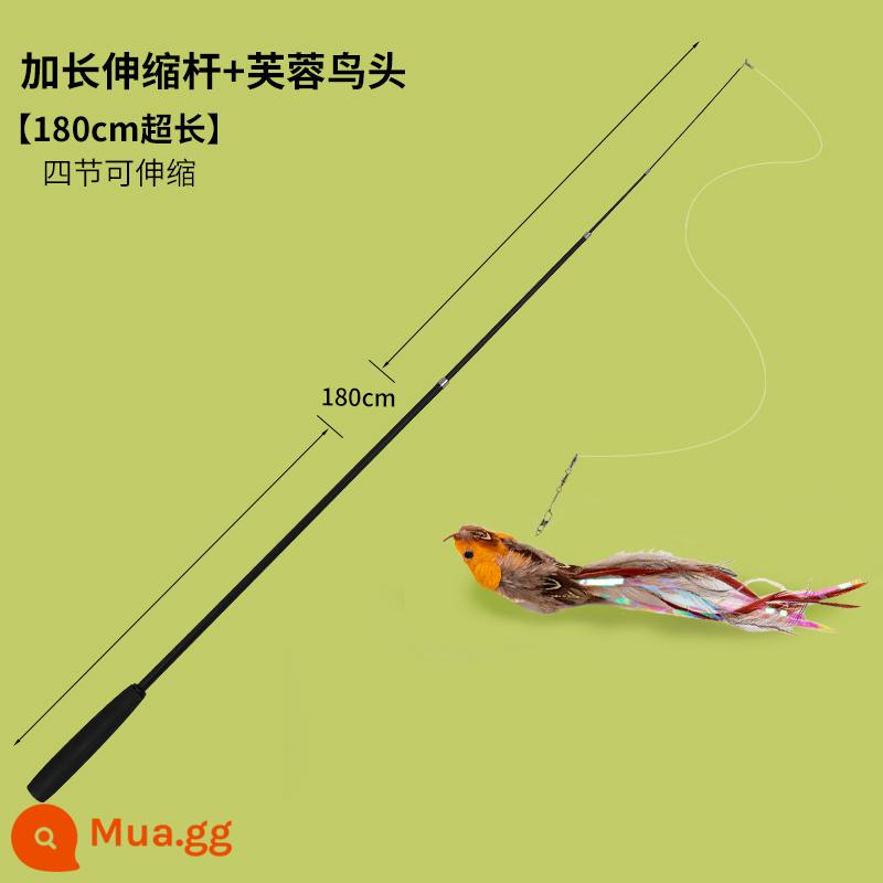 Trêu chọc Cat Stick Rod dài có thể có xu hướng rút lại que câu siêu dài 1,8m, cắn lông, chuông, đồ chơi mèo - Đũa trêu mèo dạng ống lồng dài 1.8m + chim dâm bụt