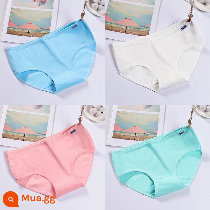 4 đôi quần lót cotton nguyên chất cho nữ, eo thấp vừa, size lớn, ôm bụng, phiên bản Hàn Quốc, màu trơn, nâng mông, quần lót đáy quần cotton thoáng khí - Xanh + trắng + hồng + xanh [4 gói]