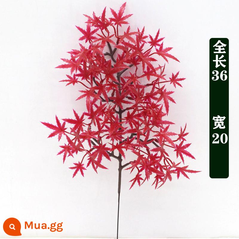 Mô phỏng lá thông đón cành thông Luo Hansong hoa nhựa thông bách cảnh cành giả làm đẹp lá thông lá thông - Red Maple (tặng 1 cho đơn hàng trên 10)