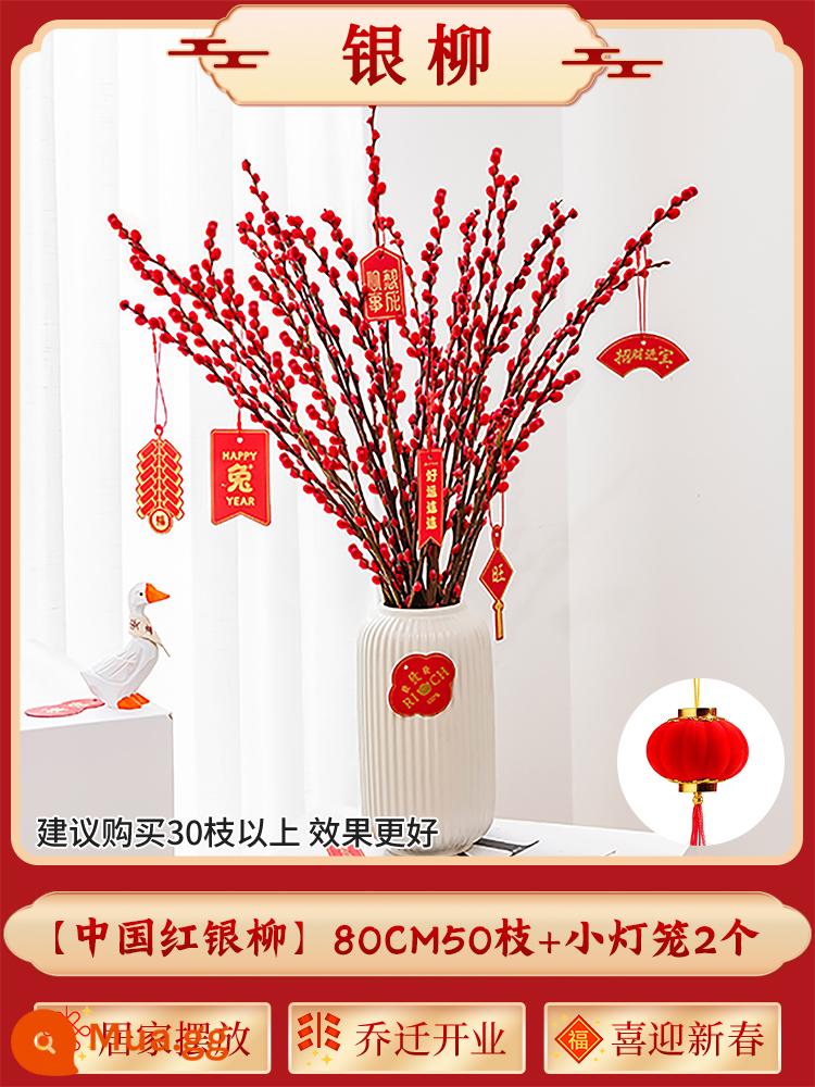 Inch Hoa Vàng Cây thủy canh Forsythia Cành khô Cắm hoa Phòng khách Cành tươi Thủy canh Hoa tươi cắt đêm giao thừa - Cây liễu bạc loại A cao 80cm 50 cành + 2 chiếc đèn lồng nhỏ