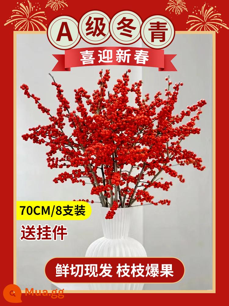 Inch Hoa Vàng Cây thủy canh Forsythia Cành khô Cắm hoa Phòng khách Cành tươi Thủy canh Hoa tươi cắt đêm giao thừa - Nhựa ruồi đỏ cao cấp loại A 70cm/8 miếng + mặt dây chuyền