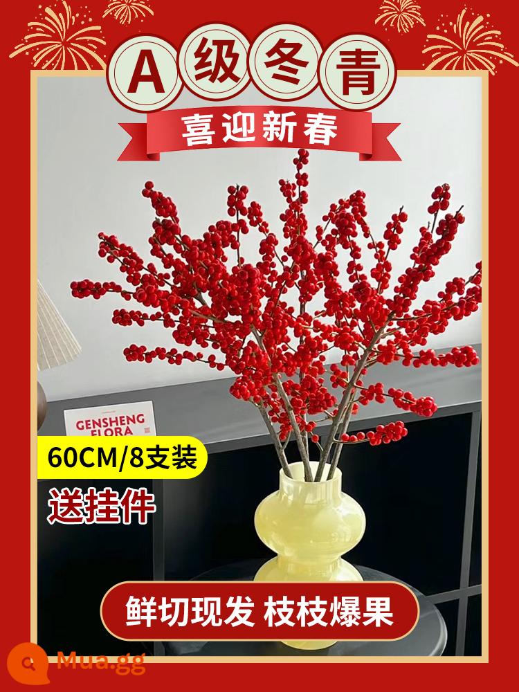 Inch Hoa Vàng Cây thủy canh Forsythia Cành khô Cắm hoa Phòng khách Cành tươi Thủy canh Hoa tươi cắt đêm giao thừa - Nhựa ruồi đỏ chất lượng cao hạng A 60 cm 8 nhánh + mặt dây chuyền [hiệu suất chi phí cao]