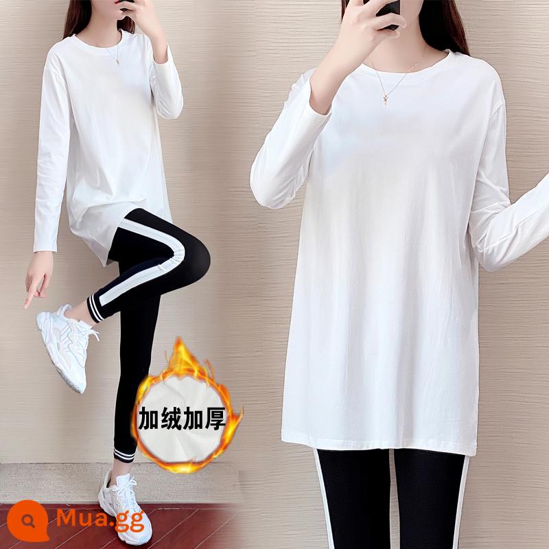 Mùa xuân mới màu trơn áo thun dài tay trung bình của phụ nữ hàng đầu bằng cotton nguyên chất đồ lót thời trang nữ phù hợp với xu hướng nữ sinh - 6555 áo trắng + 108 quần đen [cộng với nhung]