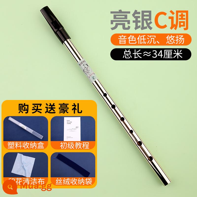 Tiếng còi Ailen người mới bắt đầu nhập cảnh sinh viên miệng sáo 6 lỗ CD key bagpipe kim loại mới ghi sáo nhạc cụ - [Bạc sáng C] Thân sáo bằng đồng + ống ngậm nhựa