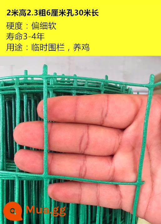 Aishang Dutch Net Iron Wire Fence Fence Net Family Chặn Gà vịt Net Net Phân lập Net Net Net Net Net - Dày 2,3 * cao 2,0 mét * lỗ 6 cm 30 mét Phiên bản dày nặng 22 pound