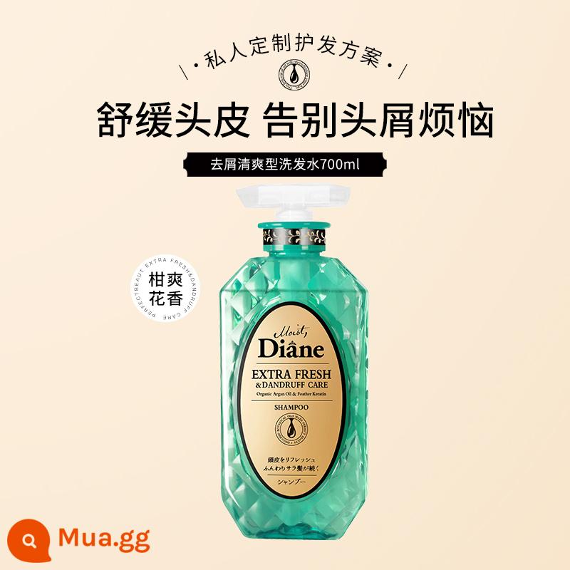 Daisy diane vẻ đẹp Ma-rốc dầu kiểm soát dầu không dầu dầu gội có lông mịn gói gia đình dầu gội 700ml - Dầu gội xanh (làm mới, trị gàu)