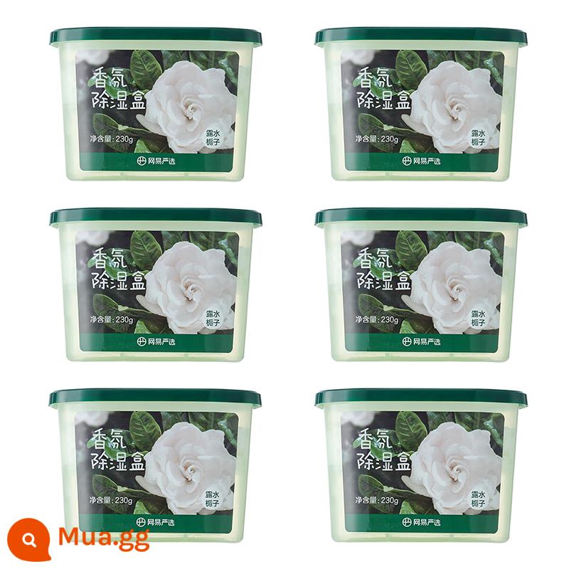 NetEase lựa chọn kỹ càng hộp hút ẩm hương thơm, tạo tác hút ẩm và hút ẩm, tủ đựng giày dép, hạt hút ẩm khử mùi và chống mùi thơm, chống ẩm và chống nấm mốc - 6 hộp