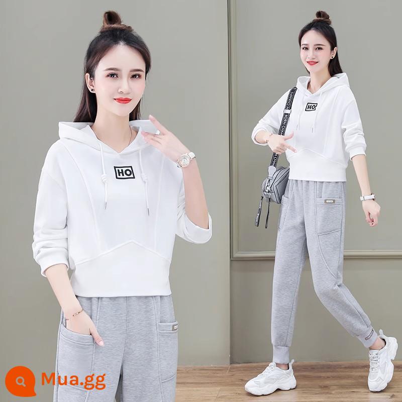 Bộ đồ thể thao nữ xuân thu 2022 mới cotton dày T nhỏ thời trang nước ngoài phong cách Châu Âu 2 mảnh phù hợp 2023 - bộ đồ trắng)