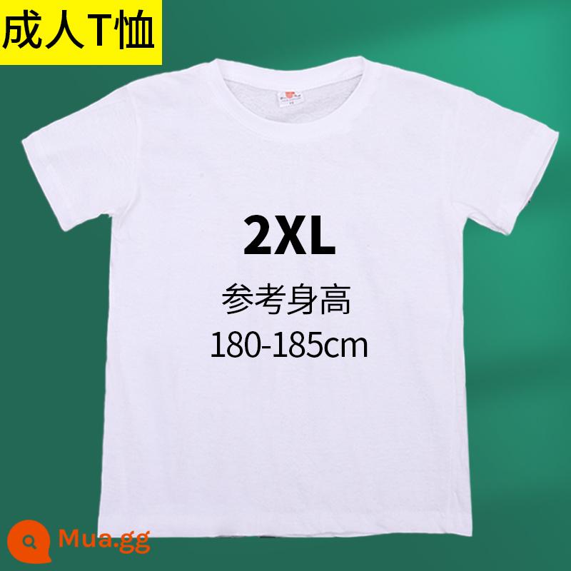 Dây Buộc Thuốc Nhuộm Bộ Dụng Cụ Chất Liệu Thủ Công Tự Làm Không Nấu Sắc Tố Trẻ Em Cotton Nguyên Chất Áo Thun Vuông khăn Túi Vải Vải - Mẫu người lớn [Kích thước XXL]