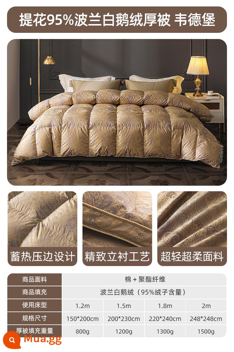 Mengjie Space Down Quilt 95 chăn bông ngỗng trắng chăn mùa đông dày dặn và ấm áp ký túc xá sinh viên lõi chăn máy lạnh đơn và đôi - Chăn dày mùa đông [Lông vũ trắng 95% Ba Lan nhập khẩu + vải nhung im lặng + hoa văn cỏ xoăn châu Âu] Wadeburg