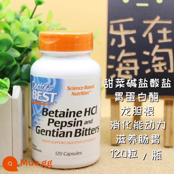 Hoàn toàn miễn phí vận chuyển của bác sĩ Hoa Kỳ Best betaine hydrochloride pepsin rễ cây khổ sâm viên nang 120 viên - Trắng