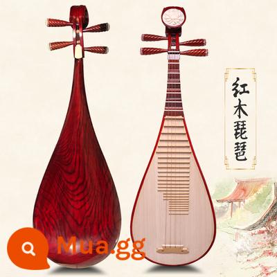 Minyin pipa Qin Children Medium Người lớn Người mới bắt đầu Bắt đầu Redwood Rosewood Pippi Pippi Nhạc cụ - Redwood Medium Pipa (Mức độ hiệu suất)