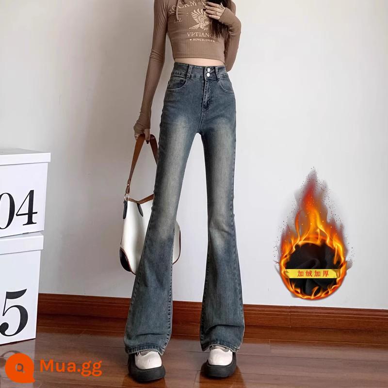 Quần jean cạp cao hơi bốt dành cho nữ mùa xuân thu 2023 mới hot phong cách retro thon gọn quần ống loe hình móng ngựa vào mùa thu - Màu xanh nhung dày chín điểm cổ điển