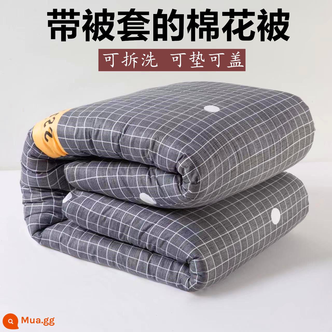 Cotton cotton quilt sinh viên chăn ký túc xá pad chăn nệm đơn mùa xuân và mùa thu lõi chăn mùa đông ấm áp chăn dày chăn - 4 pound + vỏ chăn [kẻ sọc]